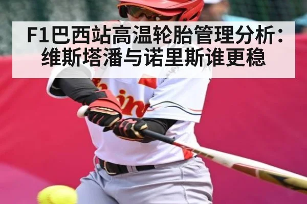 F1巴西站高温轮胎管理分析：维斯塔潘与诺里斯谁更稳 - stake